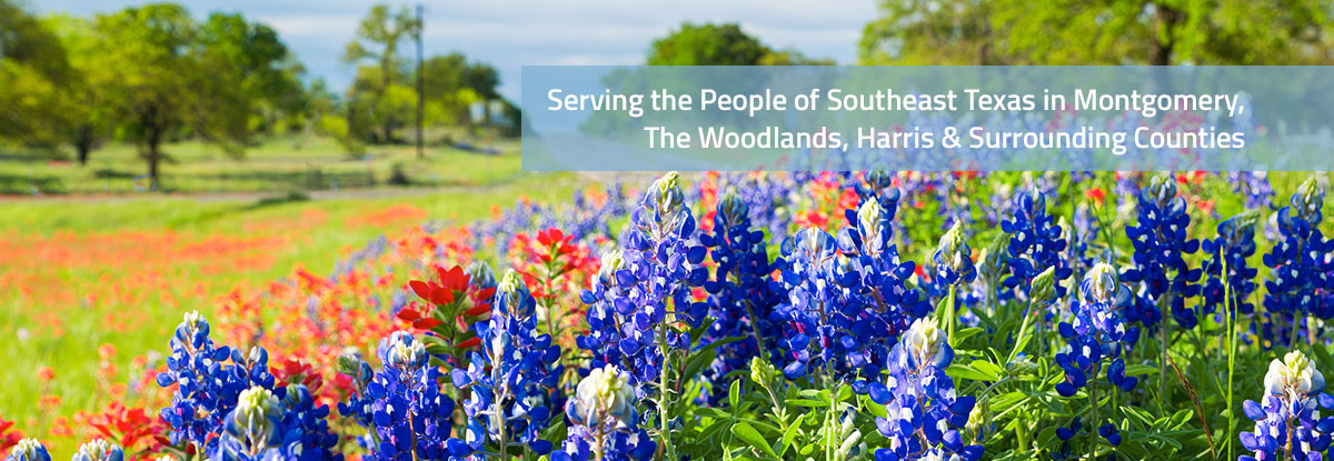 The Law Office of Mike Aduddell